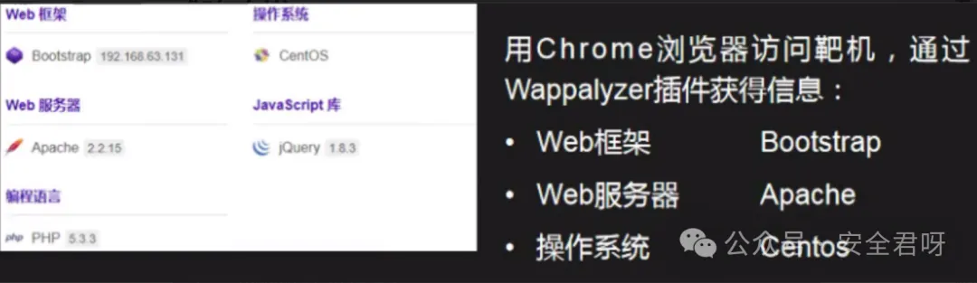 Wappalyzer插件